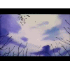 yyh
