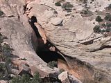 SUtahSpring2009309.jpg