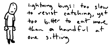 lightning-bugs.gif image by brenticious